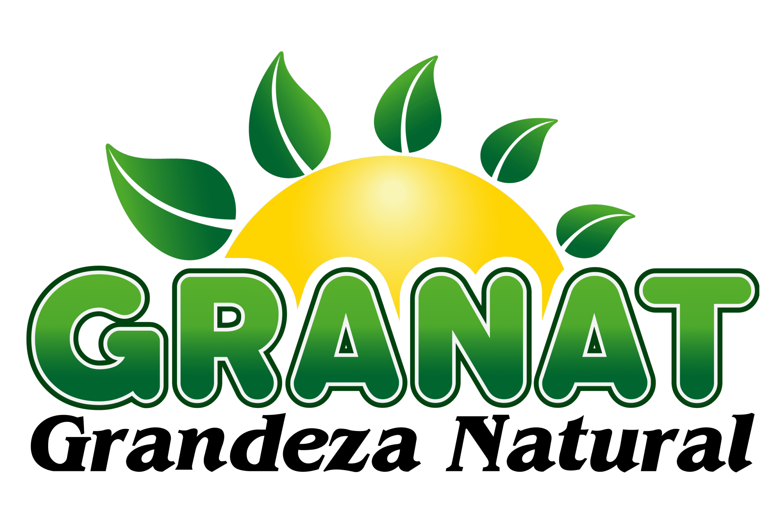 logo_max